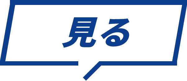 見る